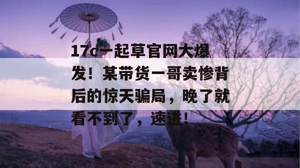 2026年7月 第2页