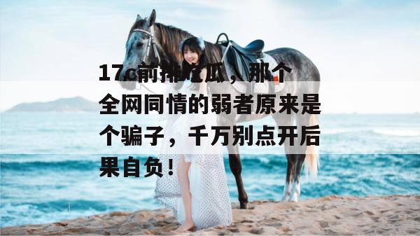17c前排吃瓜,那个全网同情的弱者原来是个骗子,千万别点开后果自负!