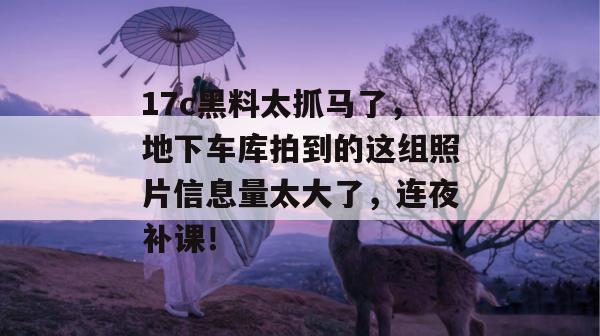 17c黑料太抓马了，地下车库拍到的这组照片信息量太大了，连夜补课！